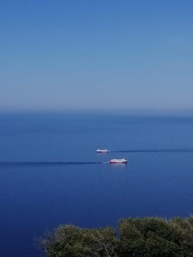Aegean Deep Blue Andros Ano Aprovato Appartement Buitenkant foto